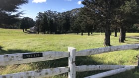 Rural / Farming commercial property for sale at 94 Corrie Road Alpine NSW 2575
