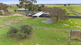 Rural / Farming commercial property for sale at "Shady Gums" Warragoon Deniliquin NSW 2710