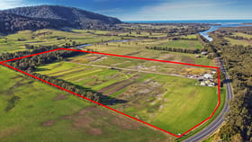 Rural / Farming commercial property for sale at 1035 Bolong Road Coolangatta NSW 2535