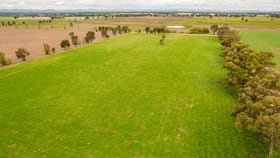 Rural / Farming commercial property for sale at 587 Tallarook Road Cowra NSW 2794