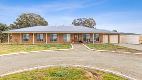 Rural / Farming commercial property for sale at 1107 Towrang Road Goulburn NSW 2580