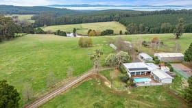 Rural / Farming commercial property for sale at 1915 Strzelecki Highway Mirboo North VIC 3871