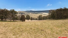 Rural / Farming commercial property for sale at Nowendoc NSW 2354