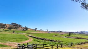 Rural / Farming commercial property for sale at 'Valleyview' Monteray Road Tamworth NSW 2340