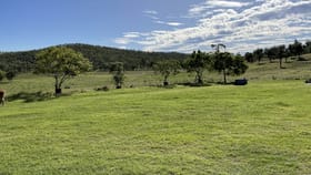 Rural / Farming commercial property for sale at 305 Youlambie Road Monto QLD 4630