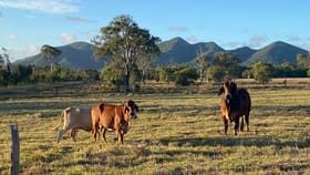 Rural / Farming commercial property for sale at Lot 1/39 Williams Road Bungundarra QLD 4703