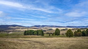 Rural / Farming commercial property for sale at Braidwood NSW 2622