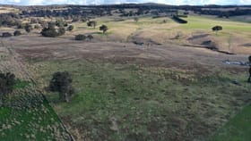 Rural / Farming commercial property for sale at 858 Sylvia Vale Road Binda NSW 2583