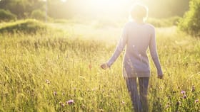 Development / Land commercial property for sale at Warriewood Road Warriewood NSW 2102