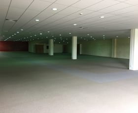 Showrooms / Bulky Goods commercial property leased at 1.1/117 Flemington Road Mitchell ACT 2911