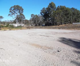 Rural / Farming commercial property leased at 100 BADGERYS CREEK ROAD Bringelly NSW 2556