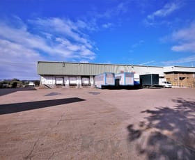 Other commercial property leased at Building B/33 Queensport Road Murarrie QLD 4172