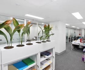 Offices commercial property leased at Level 4/72 Pitt Street Sydney NSW 2000