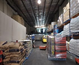 Shop & Retail commercial property leased at 42-46 Hutchinson street St Peters NSW 2044