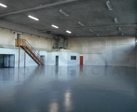 Factory, Warehouse & Industrial commercial property leased at Brookvale NSW 2100