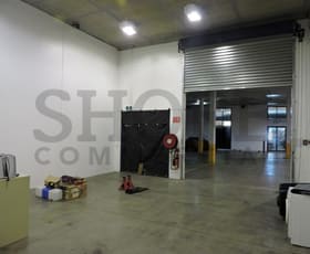 Factory, Warehouse & Industrial commercial property leased at Brookvale NSW 2100