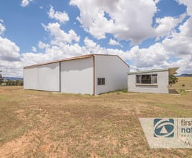 Factory, Warehouse & Industrial commercial property leased at 116 Abbatoirs Road Mudgee NSW 2850