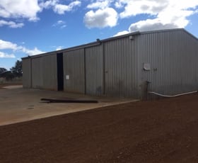 Rural / Farming commercial property leased at 12 Pappas Road Brunswick WA 6224