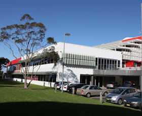 Showrooms / Bulky Goods commercial property leased at 16 Rodborough Road Frenchs Forest NSW 2086