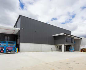 Factory, Warehouse & Industrial commercial property leased at Unit 4/120 Hume Highway Chullora NSW 2190