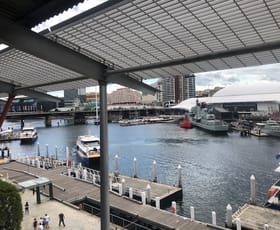 Offices commercial property leased at 12/101 Bathurst Street Sydney NSW 2000