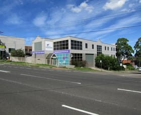 Showrooms / Bulky Goods commercial property leased at 13 Old Pittwater Road Brookvale NSW 2100