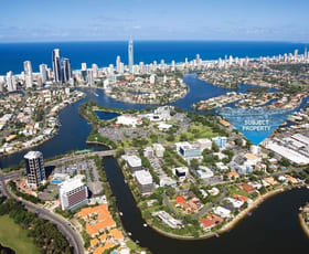 Offices commercial property for lease at Level Ground, 1/27-29 Crombie Avenue Bundall QLD 4217