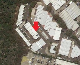 Factory, Warehouse & Industrial commercial property for lease at Brookvale NSW 2100