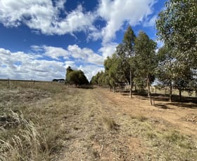 Development / Land commercial property leased at 797 Ryans Lane Melton VIC 3337