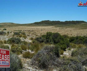 Rural / Farming commercial property for lease at 11 Cathers Road Pelican Lagoon SA 5222