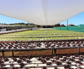 Rural / Farming commercial property leased at 883 Bindoon Moora Road Mooliabeenee WA 6504