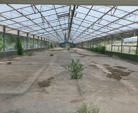 Rural / Farming commercial property for lease at 8/1042 - 1066 East Kurrajong Road East Kurrajong NSW 2758