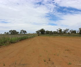 Development / Land commercial property for lease at 99 Nass Road Charlton QLD 4350