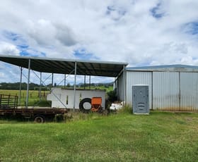 Factory, Warehouse & Industrial commercial property for lease at Shed 2/49 Elouera Terrace Bray Park NSW 2484