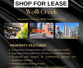 Shop & Retail commercial property leased at Wolli Creek NSW 2205