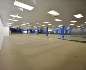 Shop & Retail commercial property for lease at Level 1, 1/569 Dean Street Albury NSW 2640