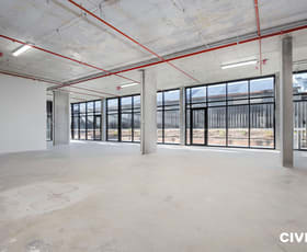 Medical / Consulting commercial property for lease at 42 Mort Street Braddon ACT 2612