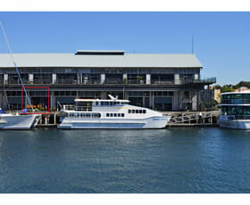 Showrooms / Bulky Goods commercial property leased at 83/26-32 Pirrama Road Pyrmont NSW 2009