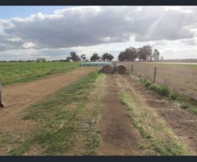 Rural / Farming commercial property leased at 8511 Murray Valley Highway Kerang East VIC 3579