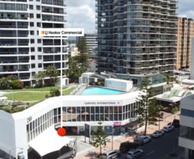 Offices commercial property for lease at Surfers Paradise QLD 4217