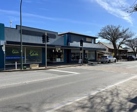 Offices commercial property leased at 1/45 Murray Street Nuriootpa SA 5355