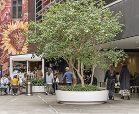 Offices commercial property for lease at Suite 401/8 Hill Street Surry Hills NSW 2010