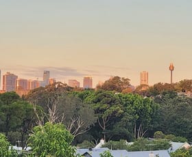 Offices commercial property for lease at Level 1/33 Booth Street Annandale NSW 2038