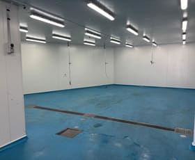 Factory, Warehouse & Industrial commercial property for lease at 7/10-14 Lilian Fowler Place Marrickville NSW 2204