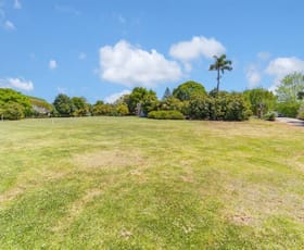 Hotel, Motel, Pub & Leisure commercial property for lease at 126-128 Long Road Tamborine Mountain QLD 4272