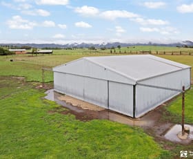 Factory, Warehouse & Industrial commercial property for lease at 533B Burrundulla Road Mudgee NSW 2850