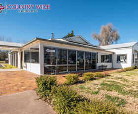 Shop & Retail commercial property for lease at 87 Malpas Street Guyra NSW 2365