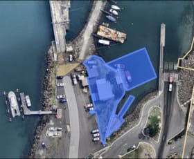 Factory, Warehouse & Industrial commercial property for lease at Lot/No. 4 Jetty Foreshore Road Port Kembla NSW 2505