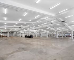 Showrooms / Bulky Goods commercial property for lease at Level 1/120 Old Pittwater Road Brookvale NSW 2100