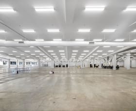 Showrooms / Bulky Goods commercial property for lease at Level 1/120 Old Pittwater Road Brookvale NSW 2100